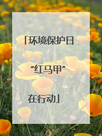 环境保护日 “红马甲”在行动