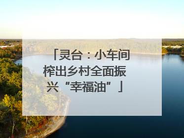 灵台：小车间榨出乡村全面振兴“幸福油”