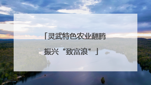 灵武特色农业翻腾振兴“致富浪”