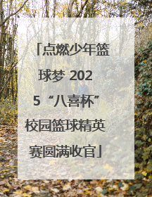 点燃少年篮球梦 2025“八喜杯”校园篮球精英赛圆满收官
