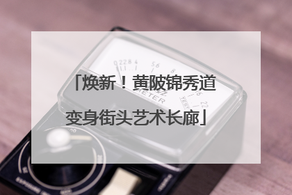 焕新！黄陂锦秀道变身街头艺术长廊