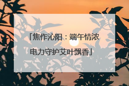 焦作沁阳：端午情浓 电力守护艾叶飘香