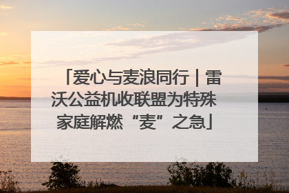 爱心与麦浪同行｜雷沃公益机收联盟为特殊家庭解燃“麦”之急