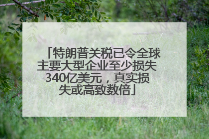 特朗普关税已令全球主要大型企业至少损失340亿美元，真实损失或高致数倍