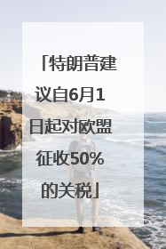 特朗普建议自6月1日起对欧盟征收50%的关税