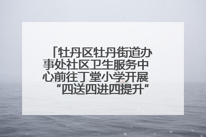 牡丹区牡丹街道办事处社区卫生服务中心前往丁堂小学开展“四送四进四提升”及无烟日宣传活动