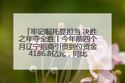 牢记嘱托显担当 决胜之年夺全胜丨今年前四个月辽宁招商引资到位资金4186.8亿元，同比增长17.4%