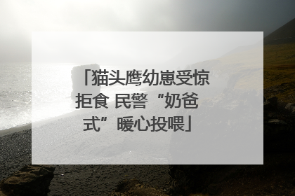猫头鹰幼崽受惊拒食 民警“奶爸式”暖心投喂