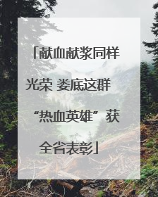 献血献浆同样光荣 娄底这群“热血英雄”获全省表彰