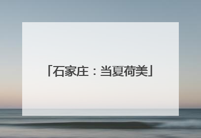 石家庄：当夏荷美