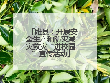 睢县：开展安全生产和防灾减灾救灾“进校园”宣传活动