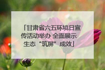 甘肃省六五环境日宣传活动举办 全面展示生态“筑屏”成效