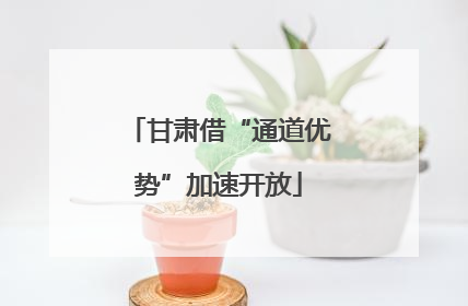 甘肃借“通道优势”加速开放