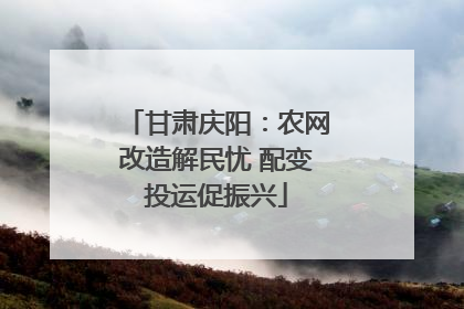 甘肃庆阳：农网改造解民忧 配变投运促振兴
