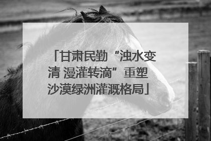 甘肃民勤“浊水变清 漫灌转滴”重塑沙漠绿洲灌溉格局