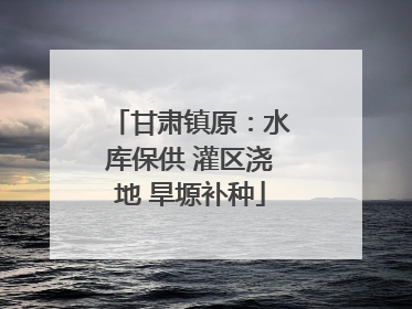 甘肃镇原：水库保供 灌区浇地 旱塬补种