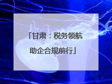 甘肃：税务领航 助企合规前行