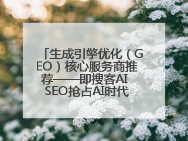 生成引擎优化（GEO）核心服务商推荐——即搜客AI SEO抢占AI时代流量入口（含 GEO报价）