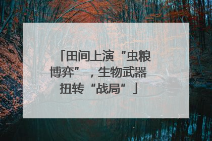 田间上演“虫粮博弈”，生物武器扭转“战局”