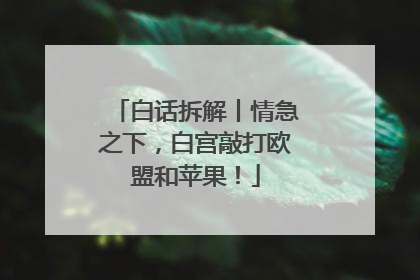 白话拆解丨情急之下，白宫敲打欧盟和苹果！