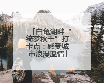 白龟湖畔“绮梦秋千”打卡点：感受城市浪漫温情