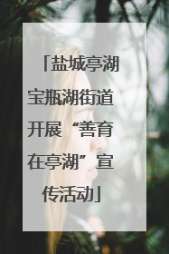 盐城亭湖宝瓶湖街道开展“善育在亭湖”宣传活动
