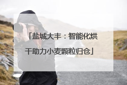 盐城大丰：智能化烘干助力小麦颗粒归仓