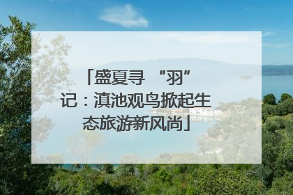 盛夏寻 “羽” 记：滇池观鸟掀起生态旅游新风尚