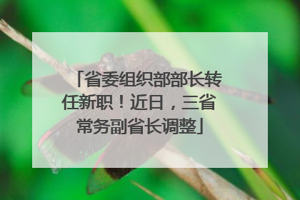 省委组织部部长转任新职！近日，三省常务副省长调整