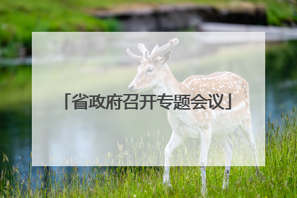 省政府召开专题会议