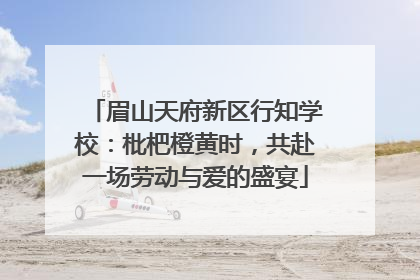 眉山天府新区行知学校：枇杷橙黄时，共赴一场劳动与爱的盛宴