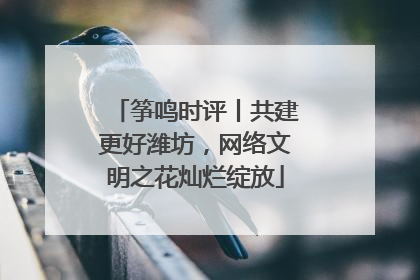 筝鸣时评丨共建更好潍坊，网络文明之花灿烂绽放