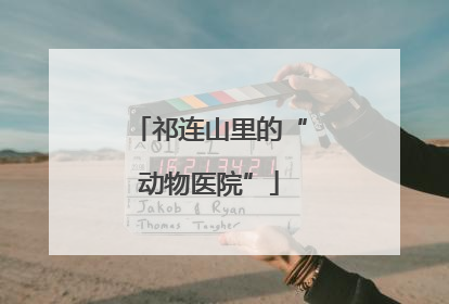 祁连山里的“动物医院”