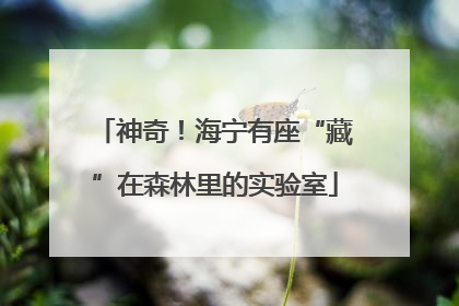 神奇！海宁有座“藏”在森林里的实验室
