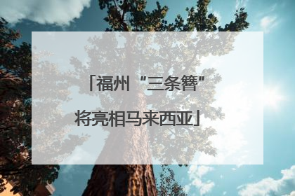 福州“三条簪”将亮相马来西亚