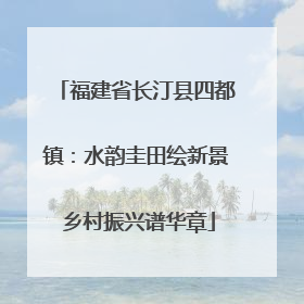 福建省长汀县四都镇：水韵圭田绘新景 乡村振兴谱华章