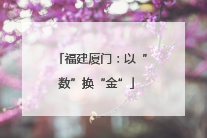 福建厦门：以“数”换“金”