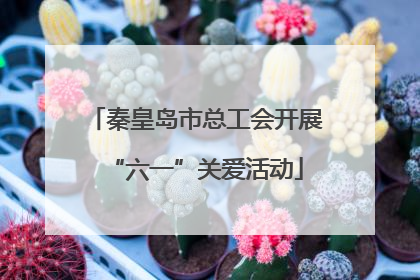 秦皇岛市总工会开展“六一”关爱活动