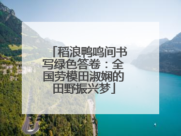 稻浪鸭鸣间书写绿色答卷：全国劳模田淑娴的田野振兴梦