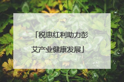 税惠红利助力彭艾产业健康发展