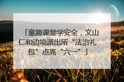 童趣课堂学安全，文山仁和边境派出所“法治礼包”点亮“六一”