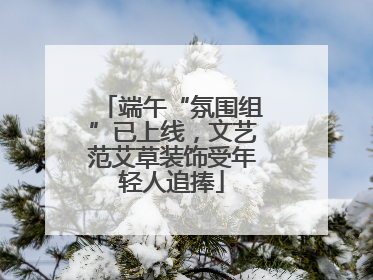端午“氛围组”已上线，文艺范艾草装饰受年轻人追捧