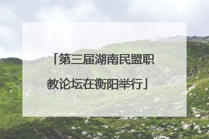 第三届湖南民盟职教论坛在衡阳举行