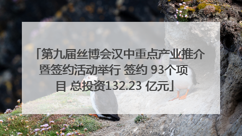 第九届丝博会汉中重点产业推介暨签约活动举行 签约 93个项目 总投资132.23 亿元