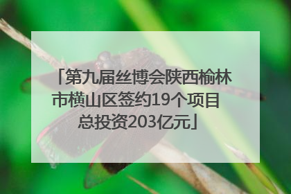 第九届丝博会陕西榆林市横山区签约19个项目 总投资203亿元