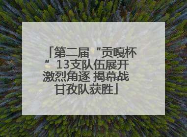 第二届“贡嘎杯”13支队伍展开激烈角逐 揭幕战甘孜队获胜