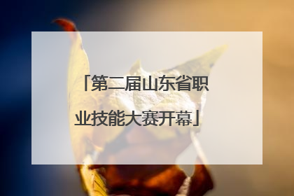第二届山东省职业技能大赛开幕
