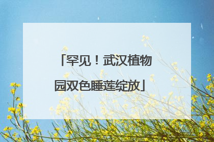 罕见！武汉植物园双色睡莲绽放
