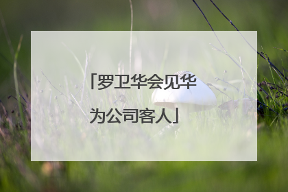 罗卫华会见华为公司客人