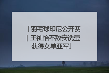 羽毛球印尼公开赛｜王祉怡不敌安洗莹 获得女单亚军